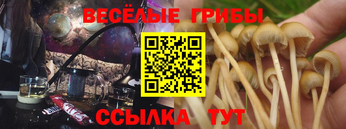 Псилоцибиновые грибы мухоморы  Вход с VPN  Галлюциногенные грибы Cubensis  Бор 
